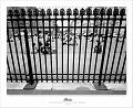 Paris 22_05_11n03